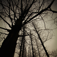 Changfeng Park